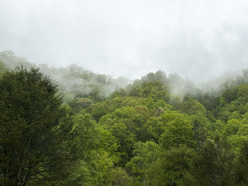 Cherokee & Great Smoky Mountains National Park, SC